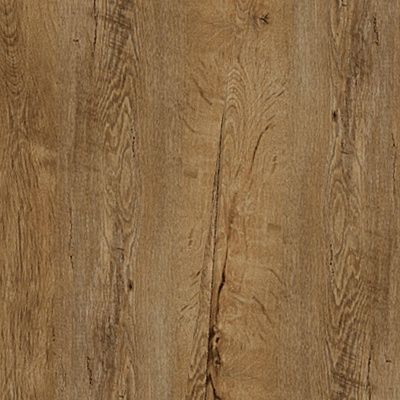 Ąžuolas tamsus Ąžuolas tamsus